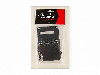 KIT ACESSORIOS GUITARRA FENDER STRATO PRETO