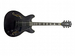 GUITARRA WALDMAN SEMI ACUSTICA HOLLOW BODY GHO100 BKM BLACK MATTE