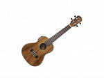 UKULELE KALANI CONCERTO 24 KAYKE KOA KAL 330 CK C/ BAG