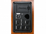VIOLAO STRINBERG AÇO SD 200C SMS FOLK FOSCO