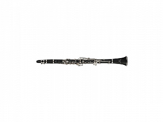 CLARINETE MICHAEL WCLM45