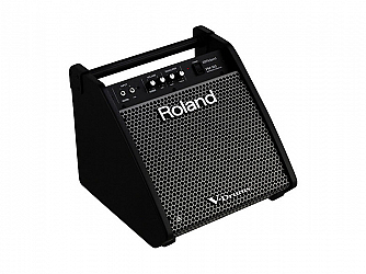 CUBO ROLAND MONITOR PM 100