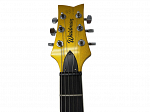 GUITARRA WALDMAN LES PAUL GLP-205 GS