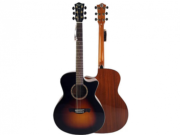 VIOLAO TAGIMA CALIFORNIA SUNBURST