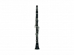 CLARINETE MICHAEL WCLM35