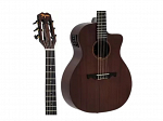 VIOLAO TAGIMA VEGAS GRAN RESERVA DARK MAHOGANY