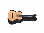 VIOLAO MICHAEL VM19 E ST NATURAL SATIN