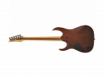 GUITARRA IBANEZ RGA 42FM TGF