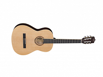 VIOLAO MICHAEL VM19 E ST NATURAL SATIN