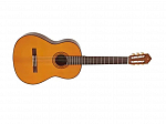 VIOLAO YAMAHA NYLON ACUSTICO C 70II