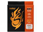 ENC GUITARRA SOLEZ 010 PROTECH SLG10 PT