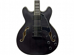 GUITARRA WALDMAN SEMI ACUSTICA HOLLOW BODY GHO100 BKM BLACK MATTE