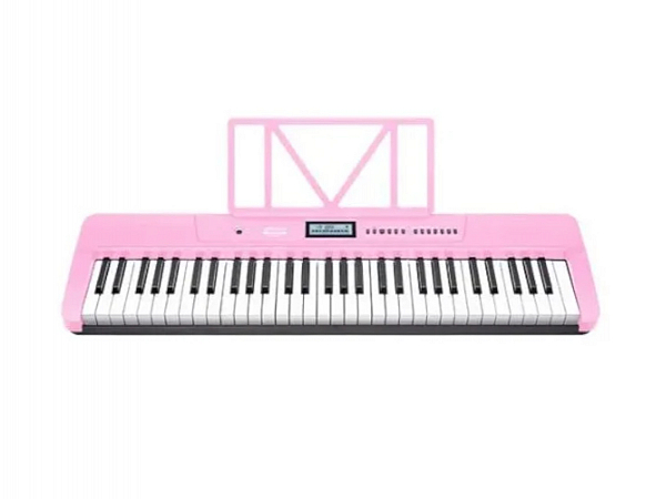 TECLADO WALDMAN CLASSTONE WTS-300 PK