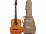 VIOLAO TAYLOR ACO ELETRICO BT2E