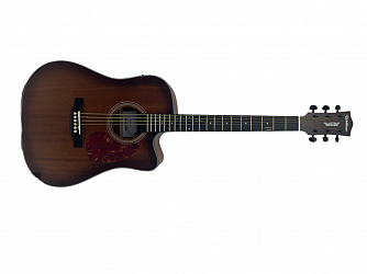VIOLAO WALDMAN AÇO ELETRICO DCEX 441 NB NATURAL BURST - FOLK