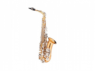 SAX ALTO MICHAEL WASM49