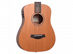 VIOLAO TAYLOR ACO ELETRICO BT2E