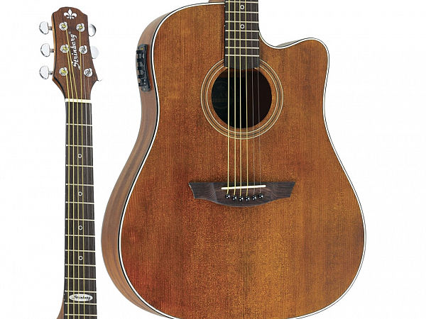 VIOLAO STRINBERG AÇO SD 200C SMS FOLK FOSCO