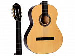 VIOLAO GIANNINI ACO GS 15 NATURAL