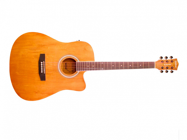 VIOLAO WALDMAN AÇO ELETRICO DCE 41 NB NATURAL BURST- FOLK