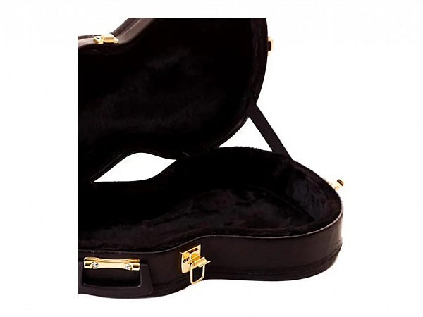 HARD CASE ROZINI VIOLA CLASSICA MARROM