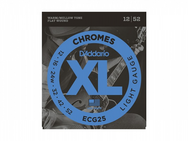 ENC GUITARRA D ADDARIO 012 ECG25