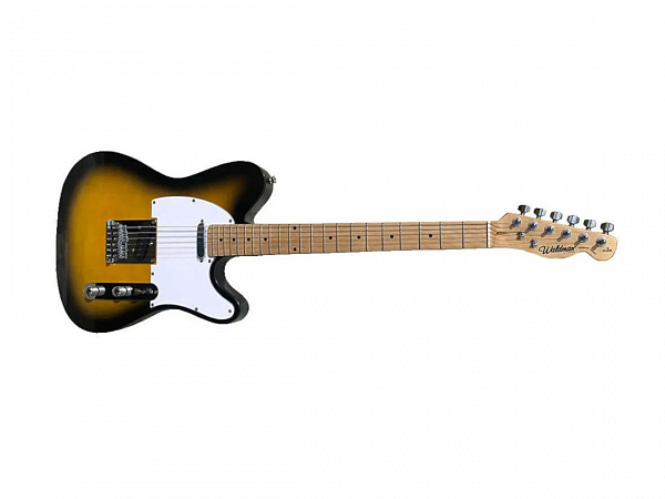 GUITARRA WALDMAN TELE GTE-100 2TS VINTAGE SUNBURST