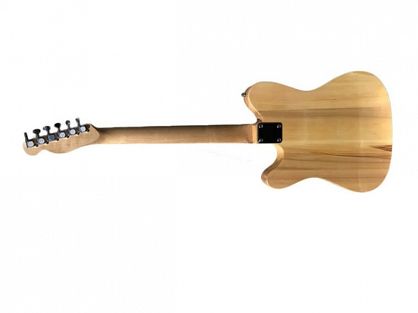 GUITARRA WALDMAN TELECASTER GTE 200 NATURAL