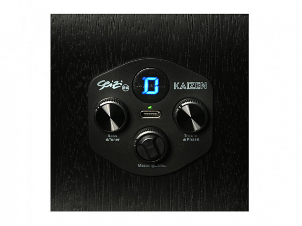 BAIXOLAO SEIZI KAIZEN RAIDEN 4 CORDAS ELETRICO OPEN PORE BLACK C/ BAG