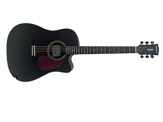 VIOLAO WALDMAN AÇO DCEX 441 BK PRETO