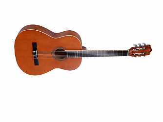 VIOLAO MICHAEL VM 19 E NS NATURAL SATIN