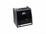 CUBO PEAVEY KB2 TECLADO - 110V - 40 WATTS