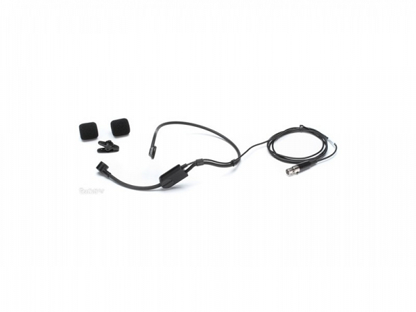 MICROFONE SHURE HEADSET PGA31 TQG