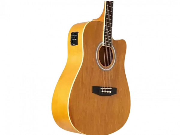 VIOLAO WALDMAN AÇO ELETRICO DCE 41 NB NATURAL BURST- FOLK