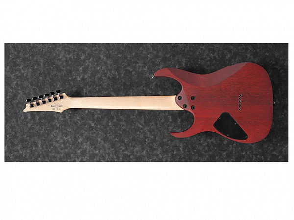 GUITARRA IBANEZ RG 421PB CHF