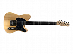 GUITARRA WALDMAN TELECASTER GTE 200 NATURAL
