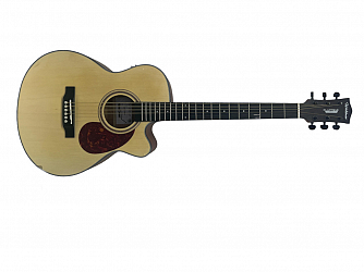 VIOLAO WALDMAN AÇO ELETRICO FCEX-340 N NATURAL FOSCO - MINI JUMBO