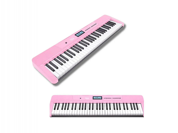 TECLADO WALDMAN CLASSTONE WTS-300 PK