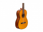 VIOLAO TAKAMINE NYLON GC1 ACUSTICO