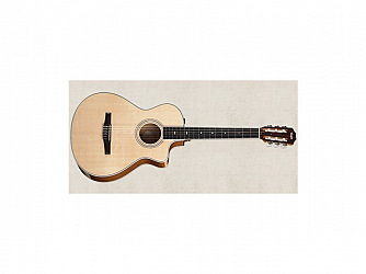 VIOLAO TAYLOR NYLON 412 CEN