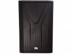 CAIXA PZ PROAUDIO AMPLIFICADA YAC15A - 500 W