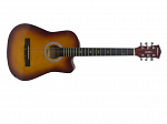 VIOLAO WALDMAN FLC 38S ACO ACUSTICO TS