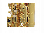 SAX ALTO MICHAEL WASM35