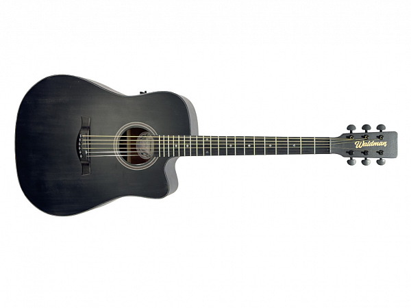 VIOLAO WALDMAN AÇO DCEX 1041 BK/B C/ BAG