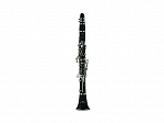 CLARINETE MICHAEL WCLM45