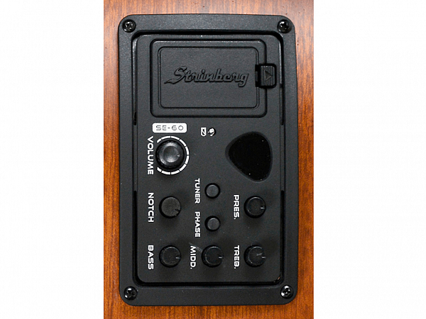 VIOLAO STRINBERG AÇO SD 200C SMS FOLK FOSCO