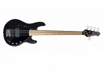 BAIXO WALDMAN 5C MB-115 SPBK W/BAG