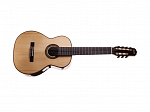 VIOLAO ROZINI NYLON CONCERTISTA 7C RX217 ATN-C