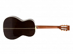 VIOLAO TAKAMINE GY51E TP4TD NEW YORKER  NATURAL