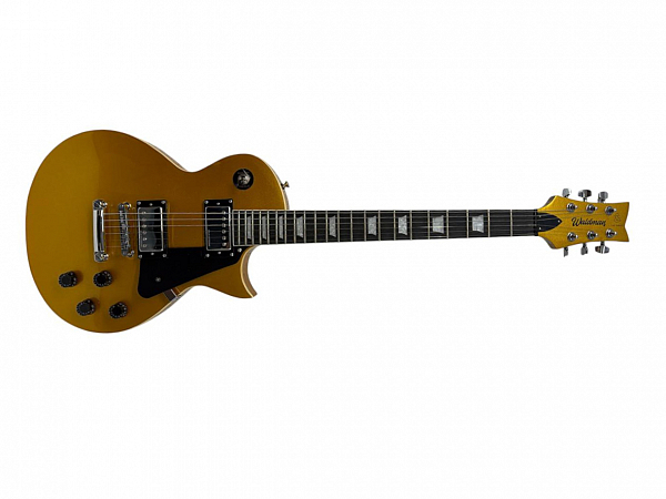 GUITARRA WALDMAN LES PAUL GLP-205 GS
